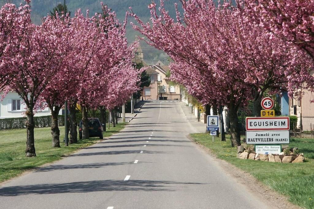 Gite A Eguisheim Proche De Colmar Et Kaysergberg. Luaran gambar