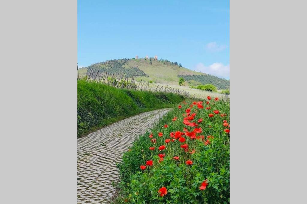 Gite A Eguisheim Proche De Colmar Et Kaysergberg. Luaran gambar