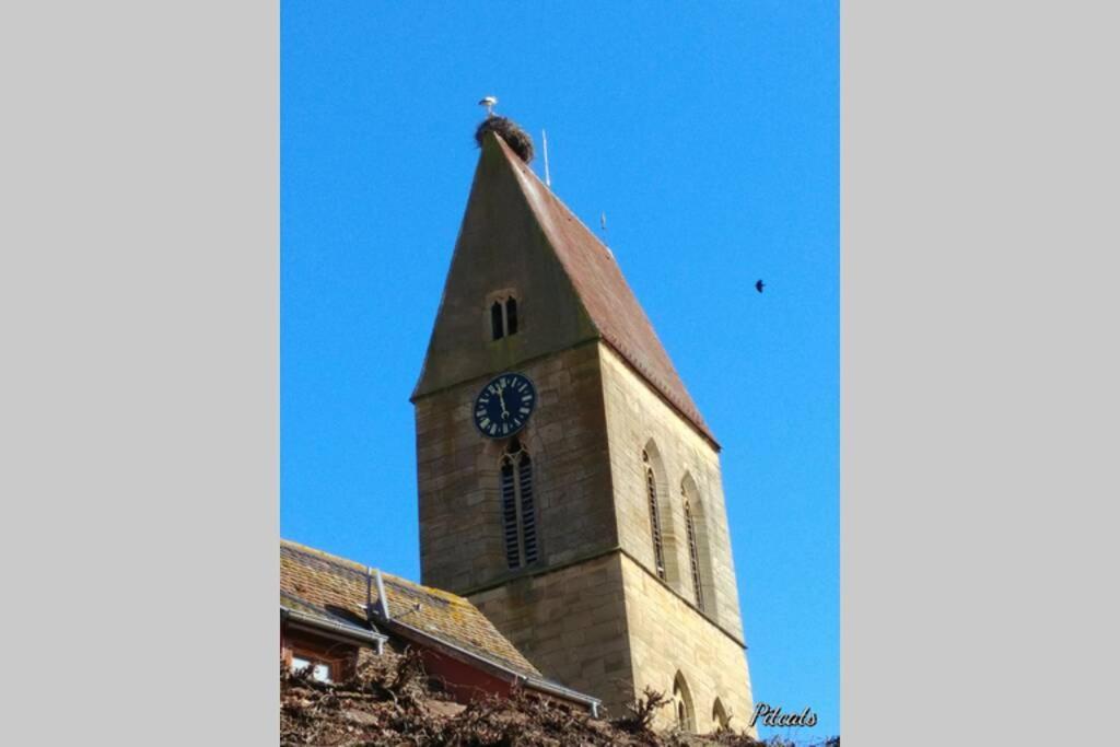 Gite A Eguisheim Proche De Colmar Et Kaysergberg. Luaran gambar