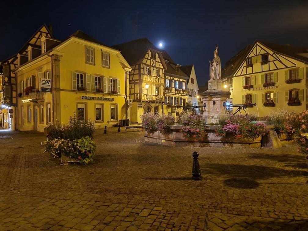 Gite A Eguisheim Proche De Colmar Et Kaysergberg. Luaran gambar